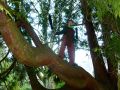 Thumbnail for version as of 01:58, 11 February 2013