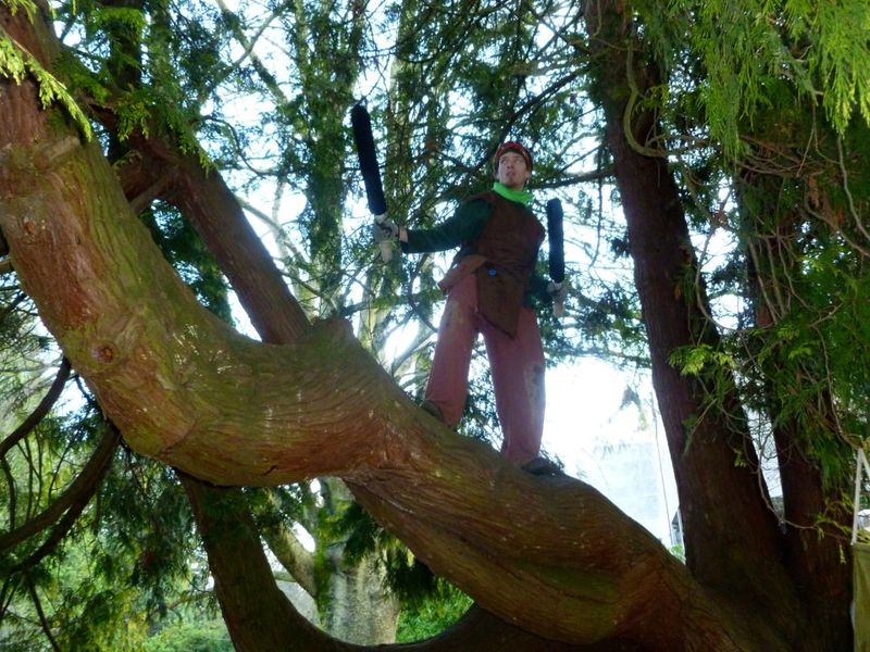 File:Jerektree.jpg